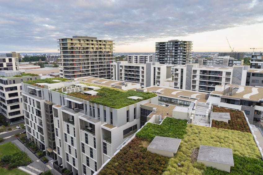green roof on modern buildings